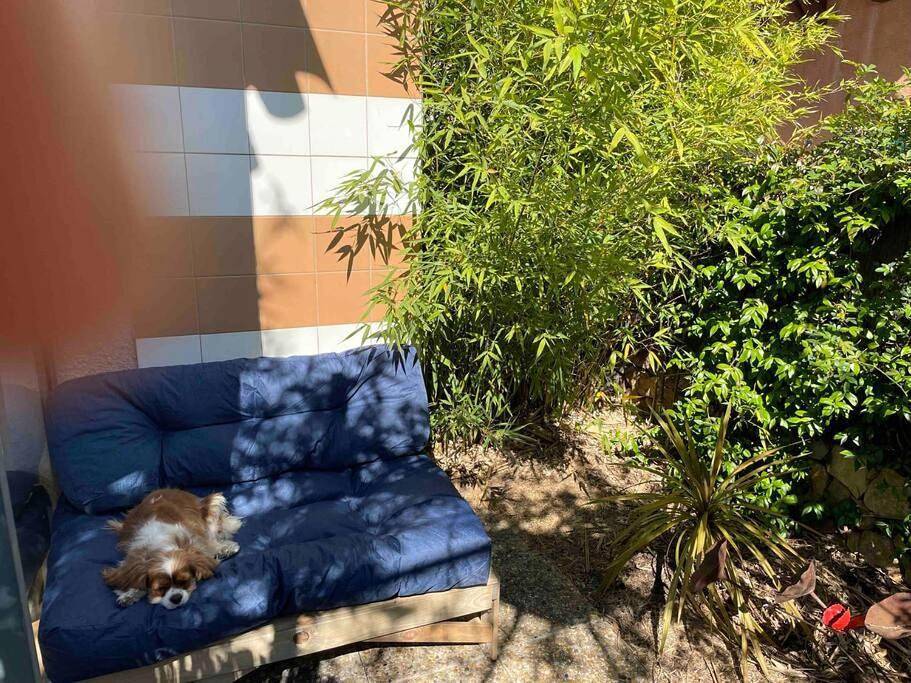 Appartement entier, One-Bedroom Apartment in Venelles, Région d'Aix-en-Provence