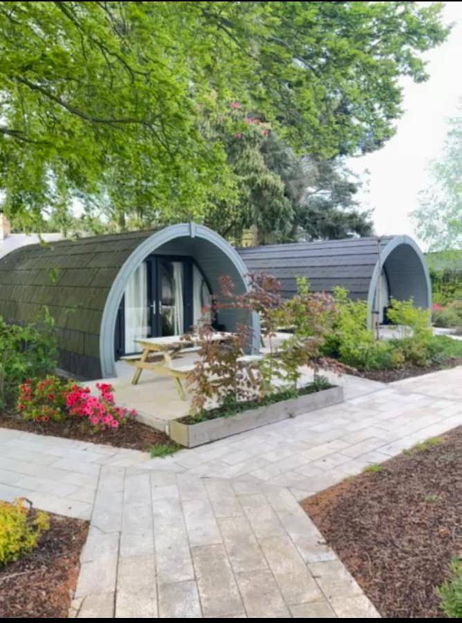 Camping for 2 people, with terrace and view as well as garden, with pets in Northern Ireland