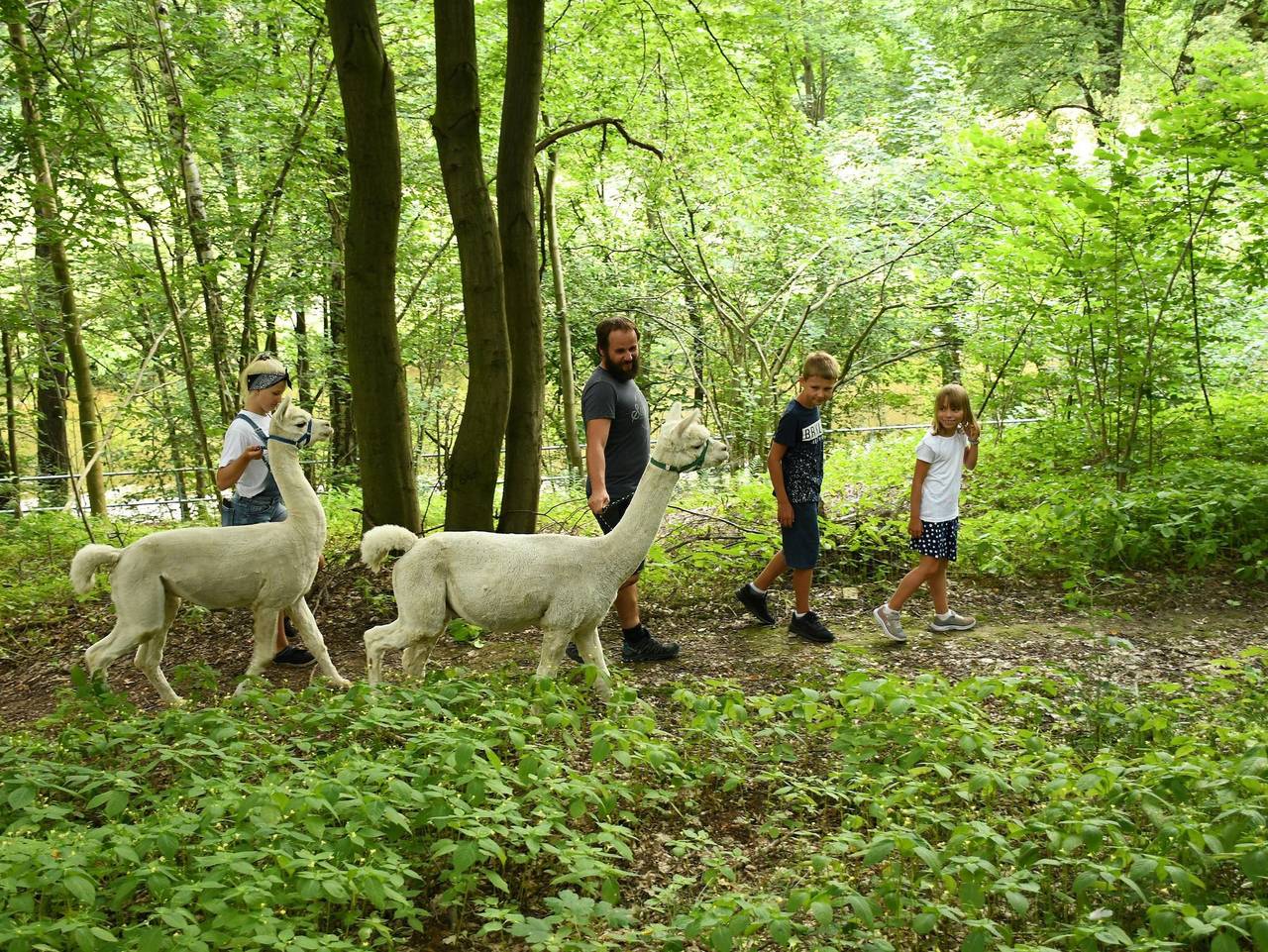 Ganze Ferienwohnung, Alpakas im Chemnitztal - Große Ferienwohnung in Taura, Chemnitz und Umgebung