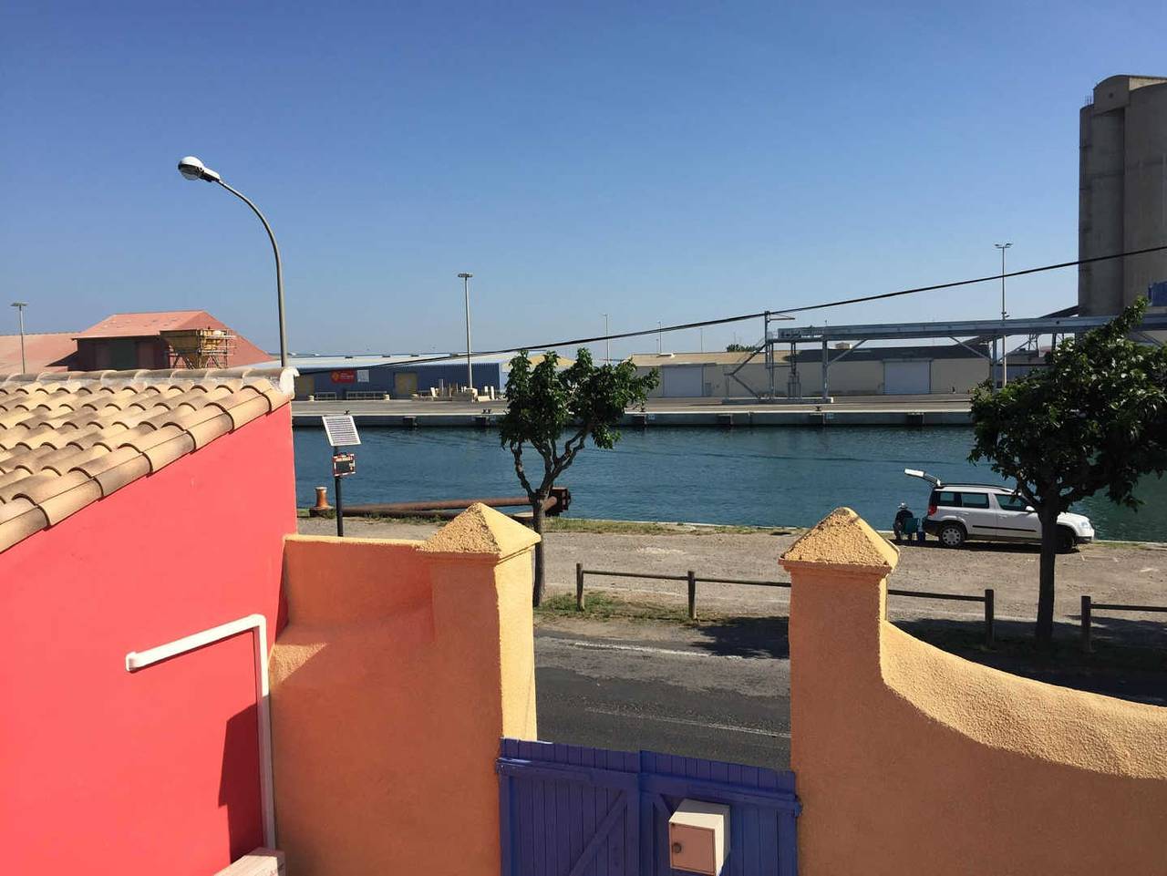 Bauhinia in Port-la-Nouvelle, Côte d'Améthyste