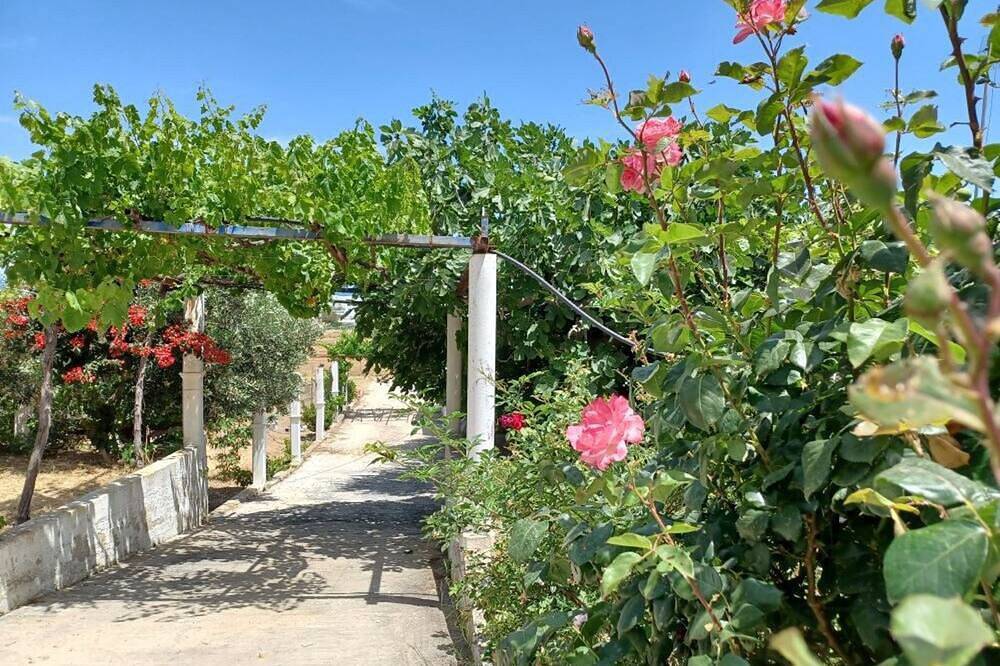 Skyros Bnb, Calliope in Molos in Skyros