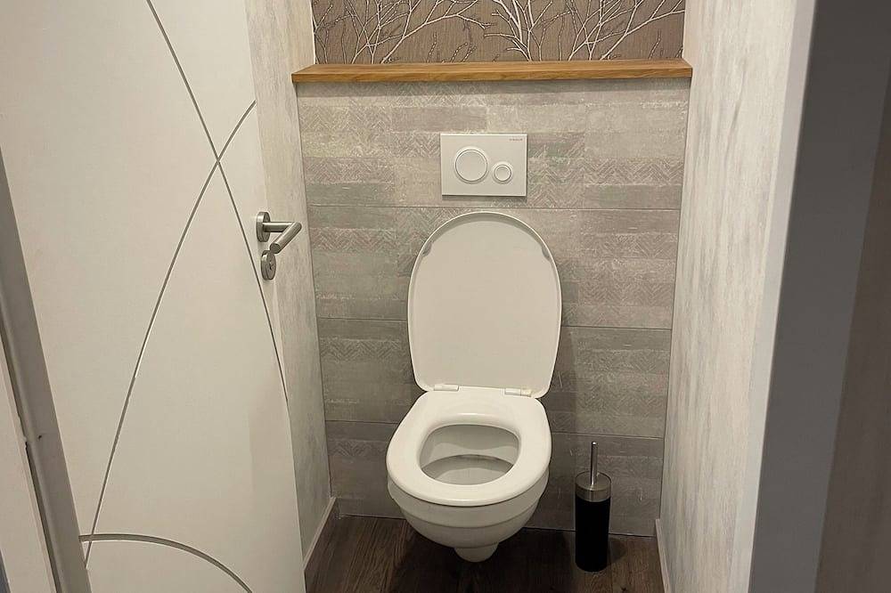 Nice renovated house in Haute-Marne