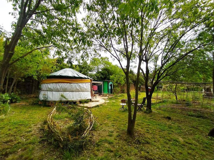 Tent in Croix d'Argent, Montpellier