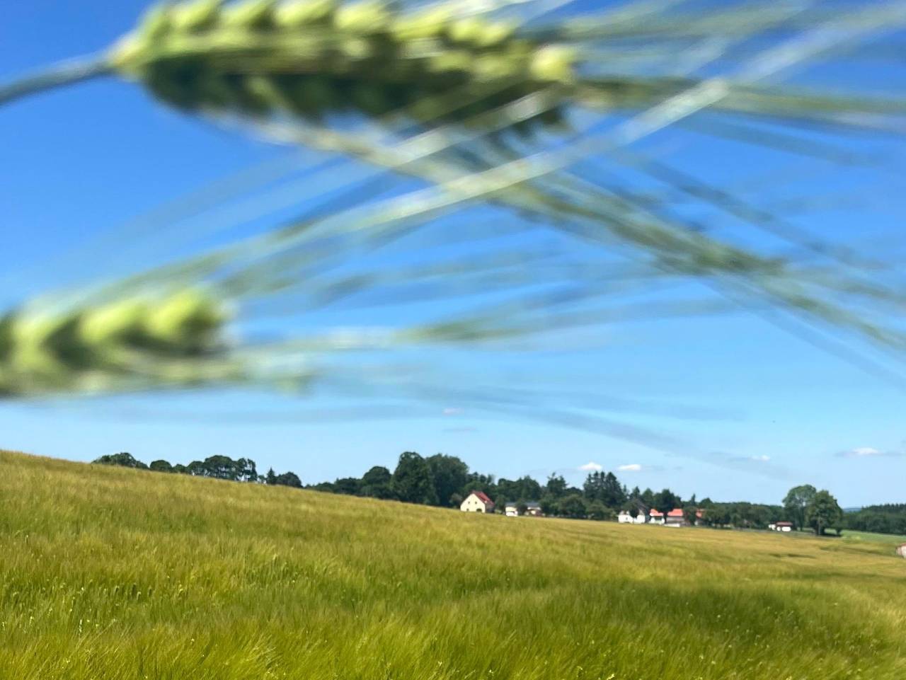 Ganze Ferienwohnung, Ferienwohnung Auszeit am Schlossberg - Ferienwohnung Auszeit in Dippoldiswalde, Osterzgebirge