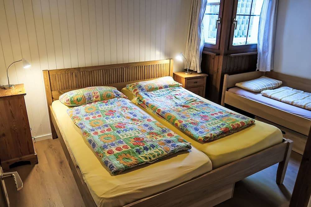 Ganze Wohnung, Wohnung Nr.2 in Schluein, Flims Laax Falera