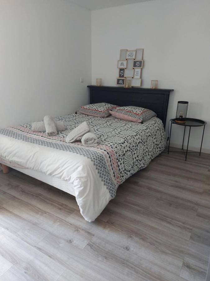 Gîte pour 2 personnes, avec terrasse à Écouflant - 4