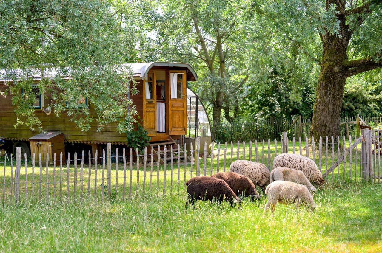 Les insolites de la Ferme de Froidefontaine in Havelange, Région de Namur