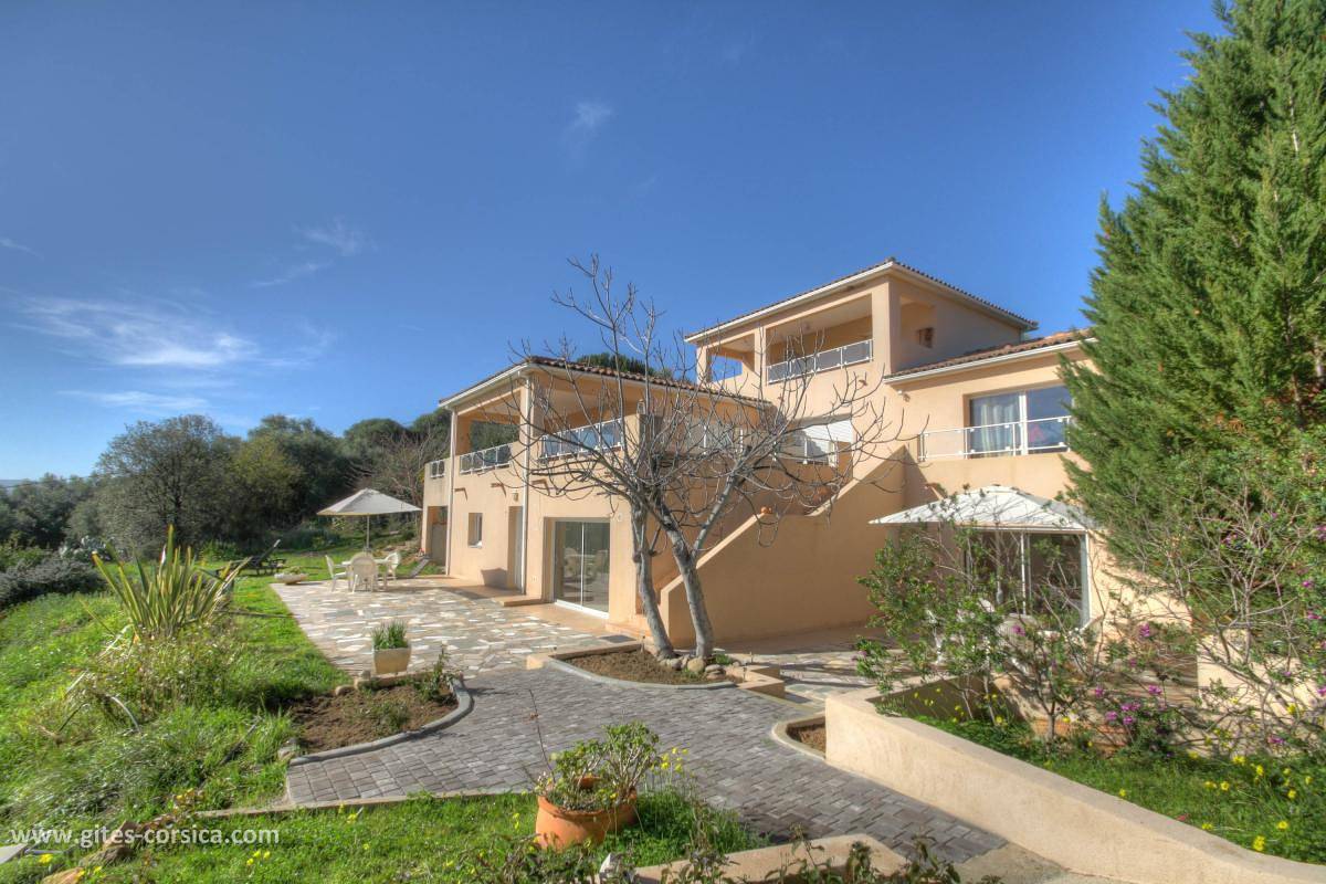 Appartement "L'Olivier" in Tiuccia, Casaglione