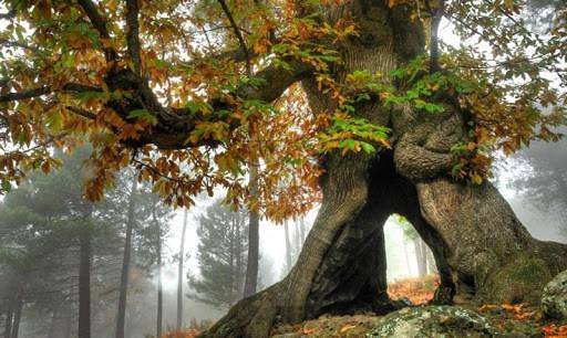 Chalet para 9 personas, con vistas, Se admiten mascotas - 1
