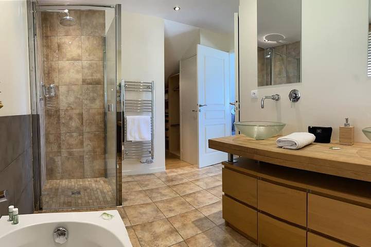 Villa pour 9 personnes, avec jacuzzi et jardin, animaux acceptés à Veyrier-du-Lac - 4