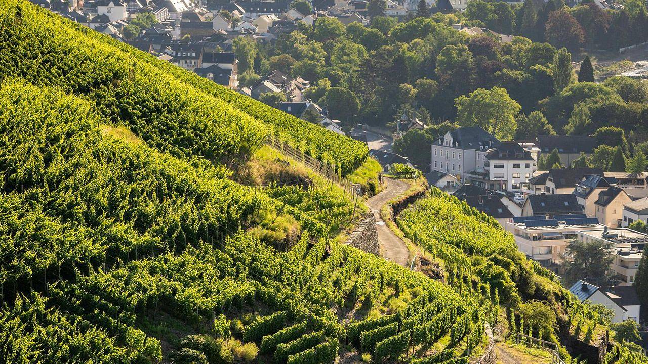 Apartamento vacacional entero, Ferienwohnung für 2 Personen (37 m²) in Bad Neuenahr-Ahrweiler in Neuenahr, Bad Neuenahr-Ahrweiler