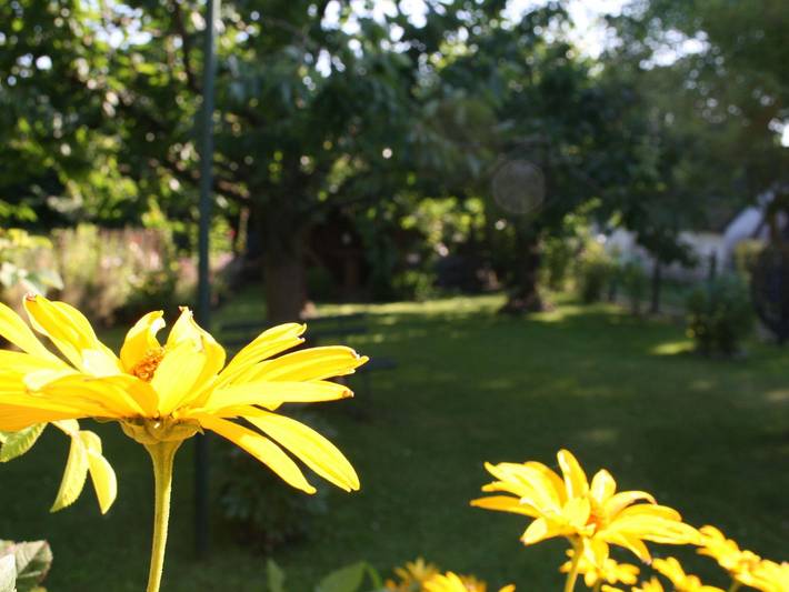 Ferienwohnung für 3 Personen, mit Garten, mit Haustier in Gingst - 2