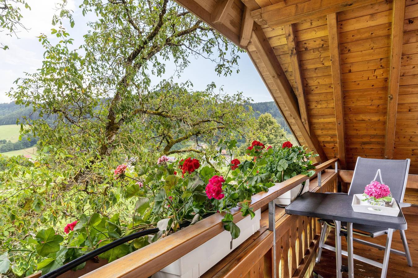 Ganze Wohnung, Ferienwohnung Dg, 85qm, 2 Schlafzimmer, max. 5 Personen mit Rundumblick in die Natur in Nordrach, Mittlerer Schwarzwald