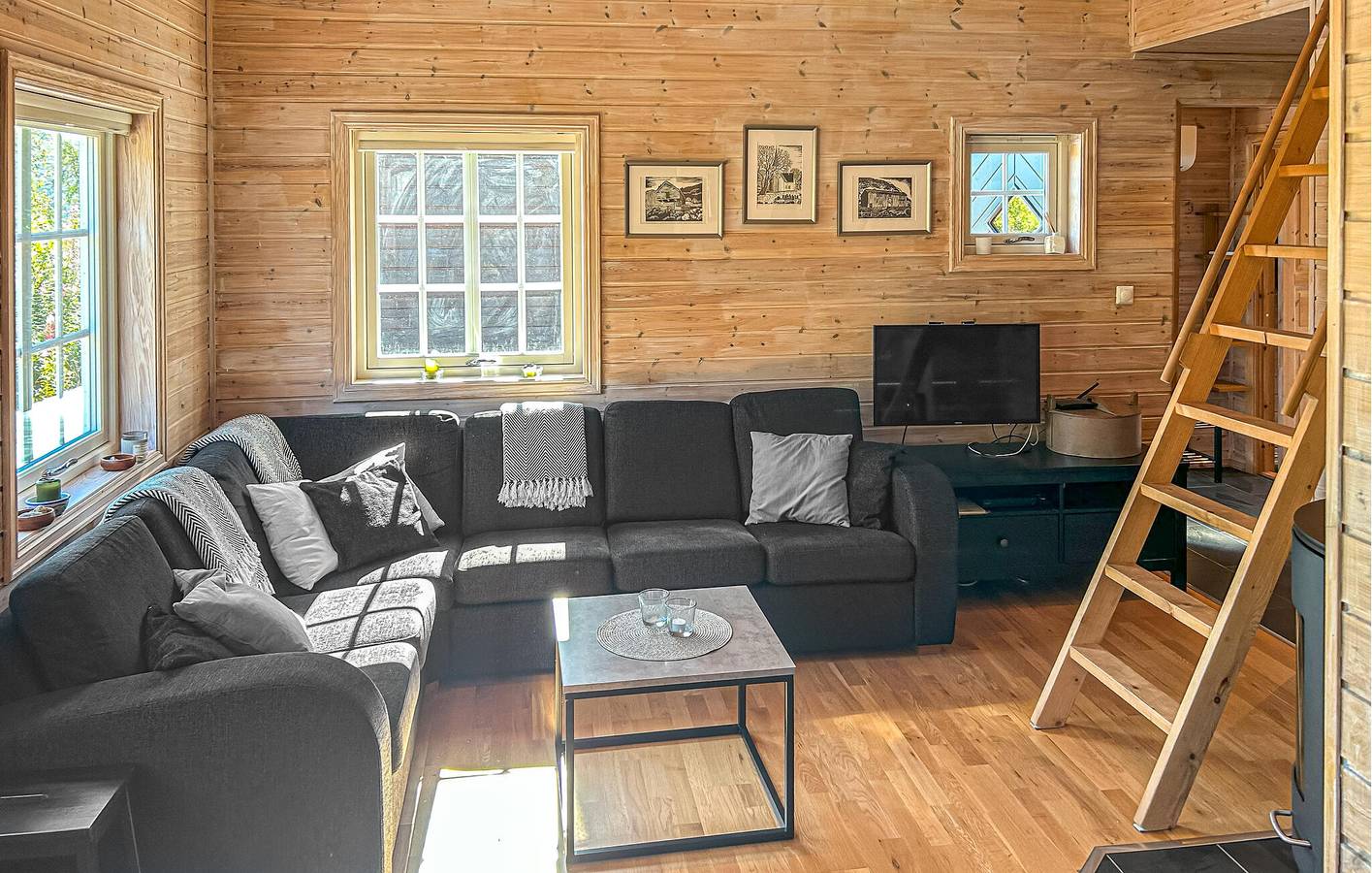 Ferienhaus für 6 Personen mit Terrasse in Åseral