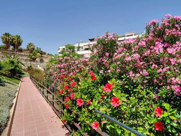 Ferienwohnung für 4 Personen in Rincón de la Victoria, Costa del Sol, Bild 1