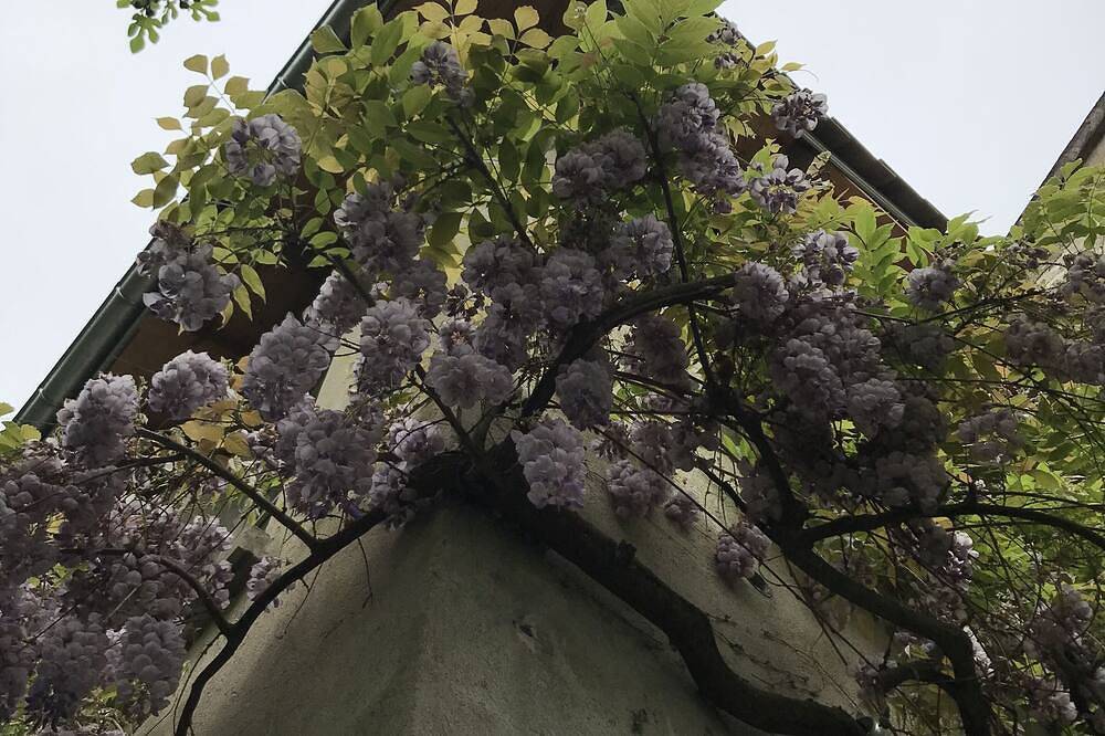 La Maison Ancienne Eymet, Beautiful B&B Dordogne  ~ nearest airport Bergerac in Eymet, Périgord Pourpre
