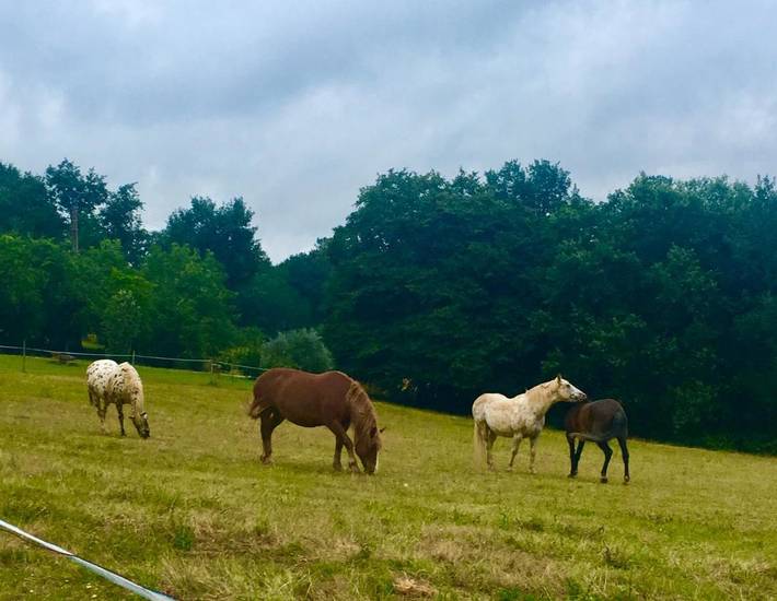 Gîte pour 2 personnes, avec vue ainsi que jardin et piscine à Puy-l'Évêque - 4