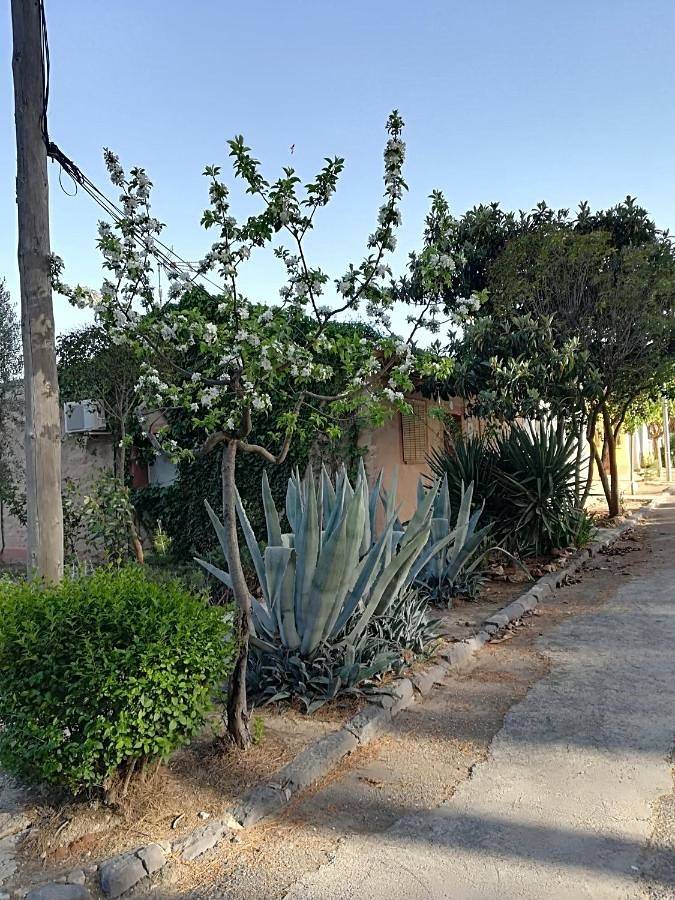 Casa rural para 5 personas, con Terraza y Jardín en Provincia de Teruel - 2