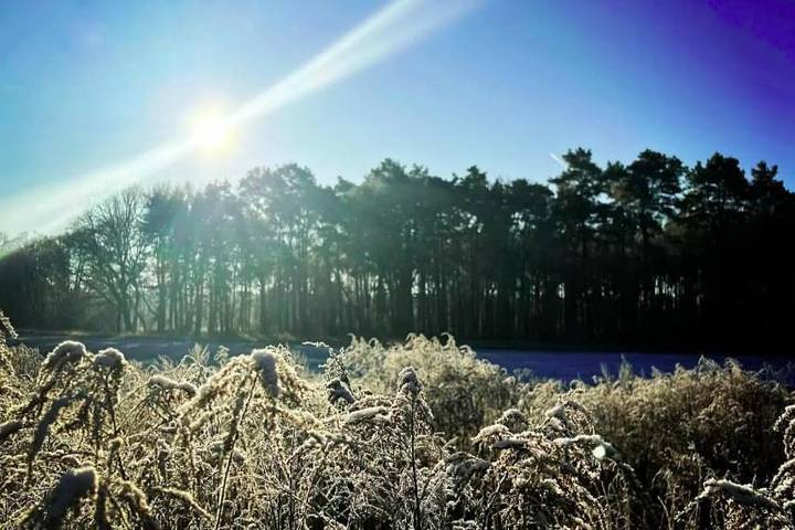 Ferienhaus für 12 Personen, mit Garten und Sauna sowie Ausblick in Naturpark Barnim - 3