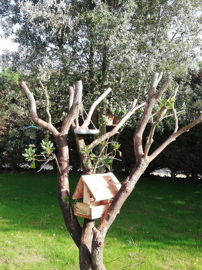 Le 26 in Ruffec, Charente
