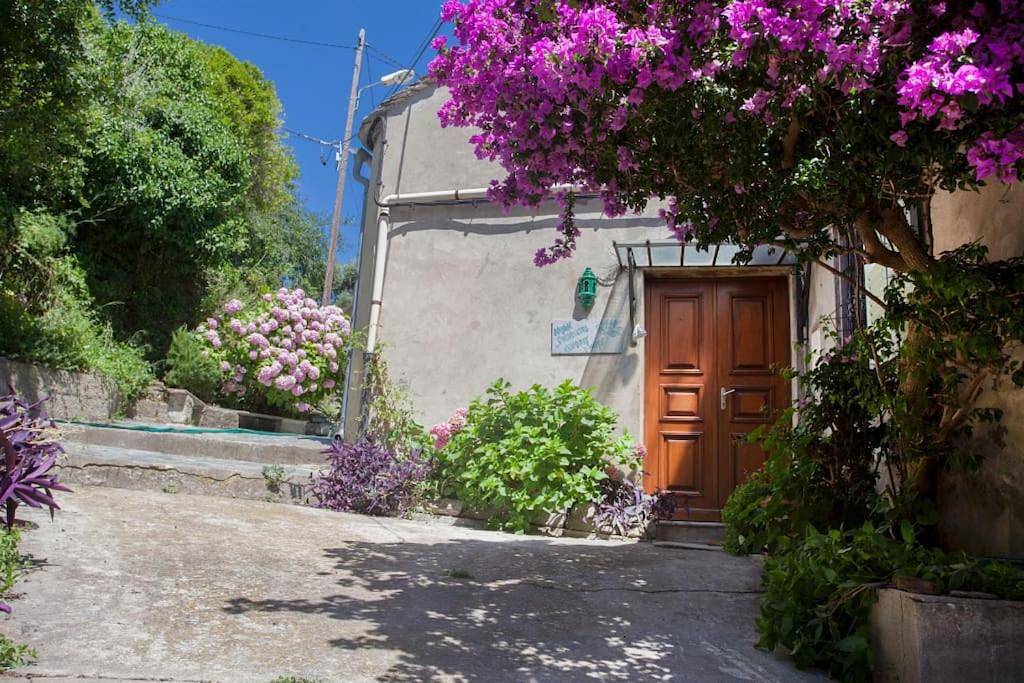 Maison Simonpietri in Cagnano, Cap Corse