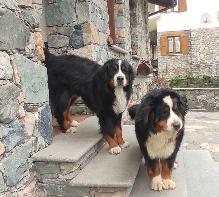 Chambre d’hôte pour 3 personnes, avec jardin et terrasse dans Piémont - 3
