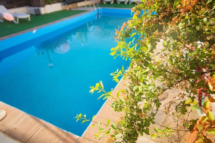 Casa rural para 3 personas, con Balcón y Terraza además de Jacuzzi y Jardín en Comarca de Guadix - 3