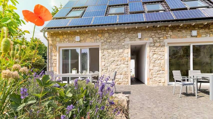 Ferienhaus für 14 Personen, mit Terrasse und Garten, mit Haustier in Rheinhessen - 4