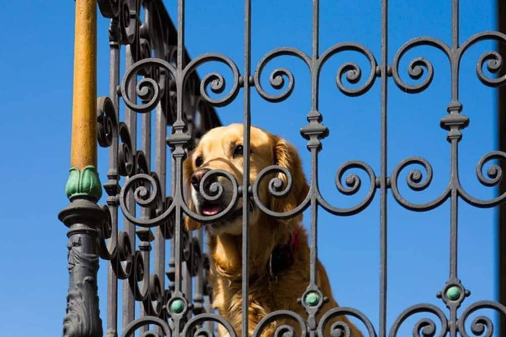 Ganze Wohnung, Ferienwohnung Gschwand - Ferienwohnungen Heidi & Fabian Hosp in Unterammergau, Bayerische Alpen