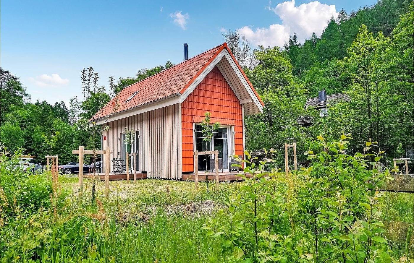 Harz-Tiny Dan291 in Wildemann, Harzvorland