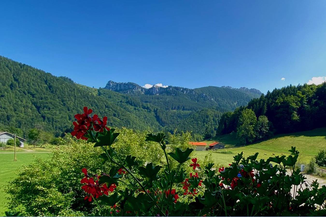 Ganze Ferienwohnung, Gschwendtnerhof App23 Christ - Ferienwohnung 51 qm, separates Schlafzimmer, Südbalkon, App. 23 in Hintergschwendt, Aschau im Chiemgau