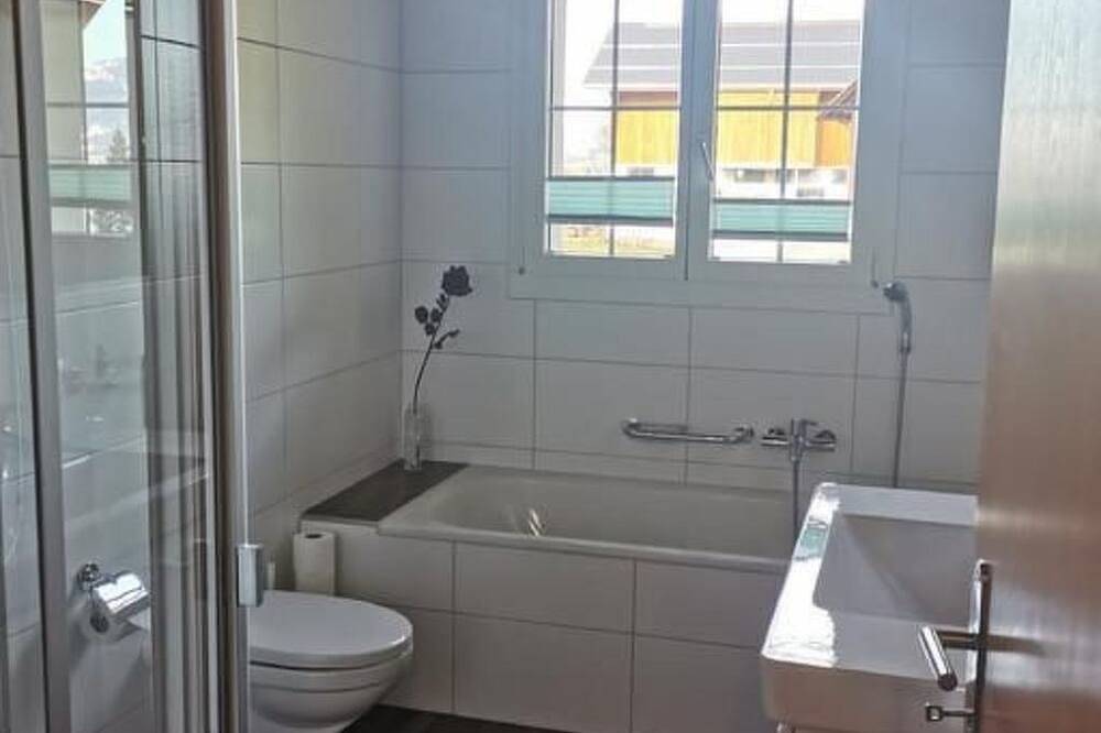 Ganze Wohnung, 2-Zimmerwohnung Rigi in Schwyz