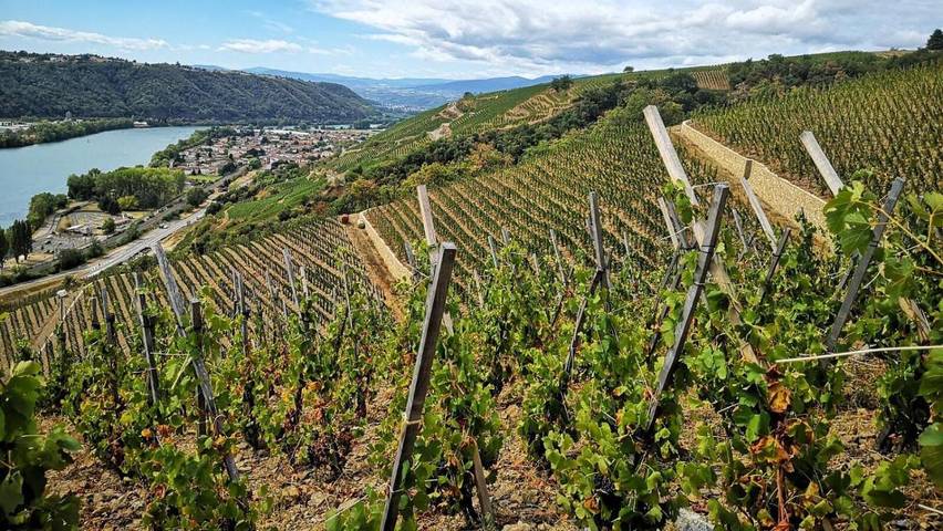 Alojamiento y desayuno para 3 personas, con jardín y vistas - 1