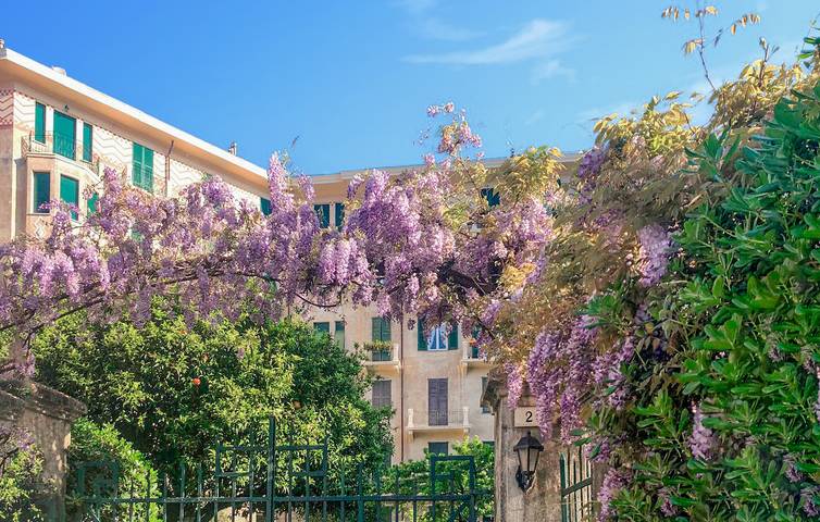 Gîte pour 8 personnes, avec Terrasse à Santa Margherita Ligure