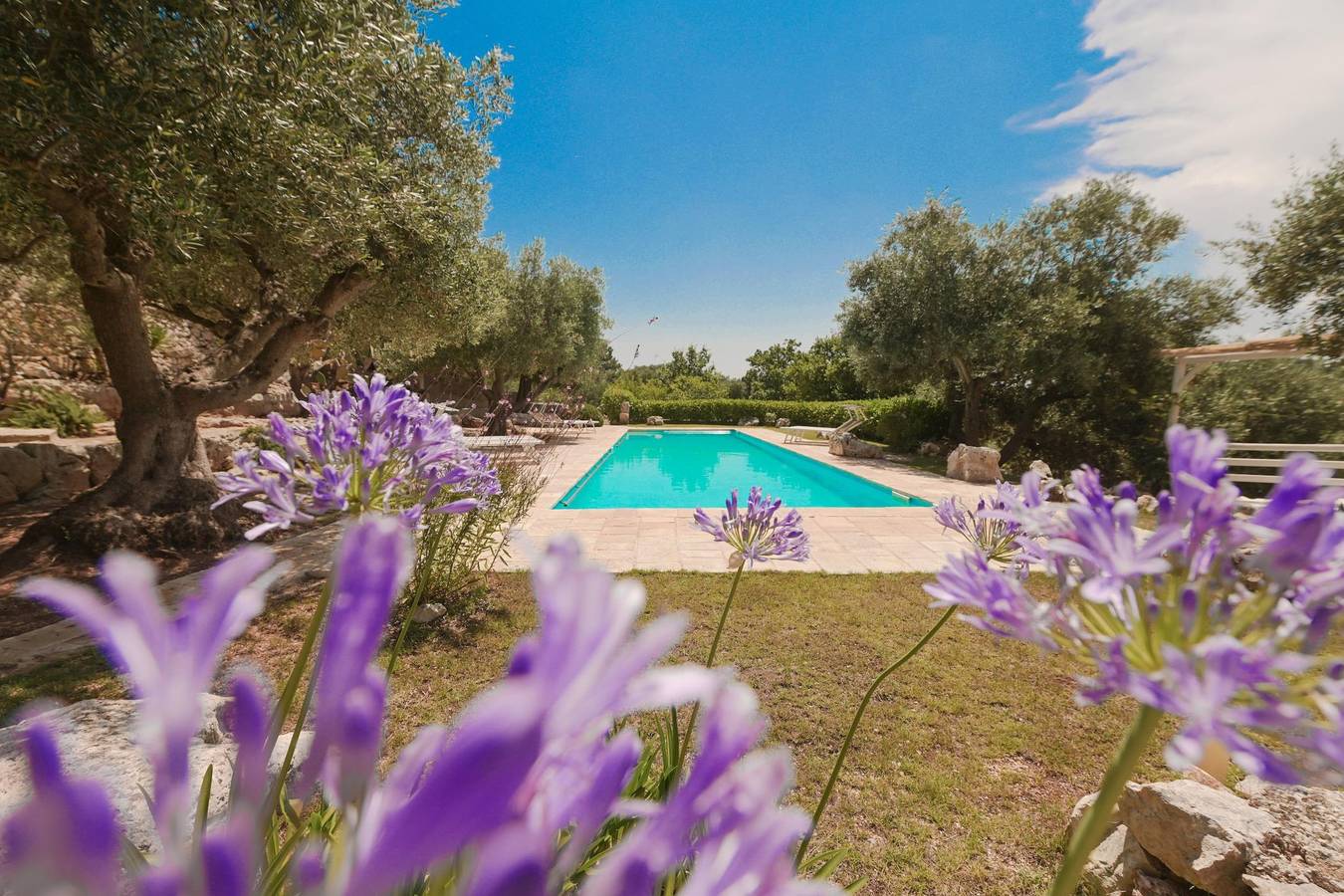 Trullo Agapanthus con Piscina Panoramica in Certosa, Ostuni