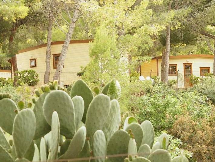 Bungalow für 5 Personen in Italien - 4