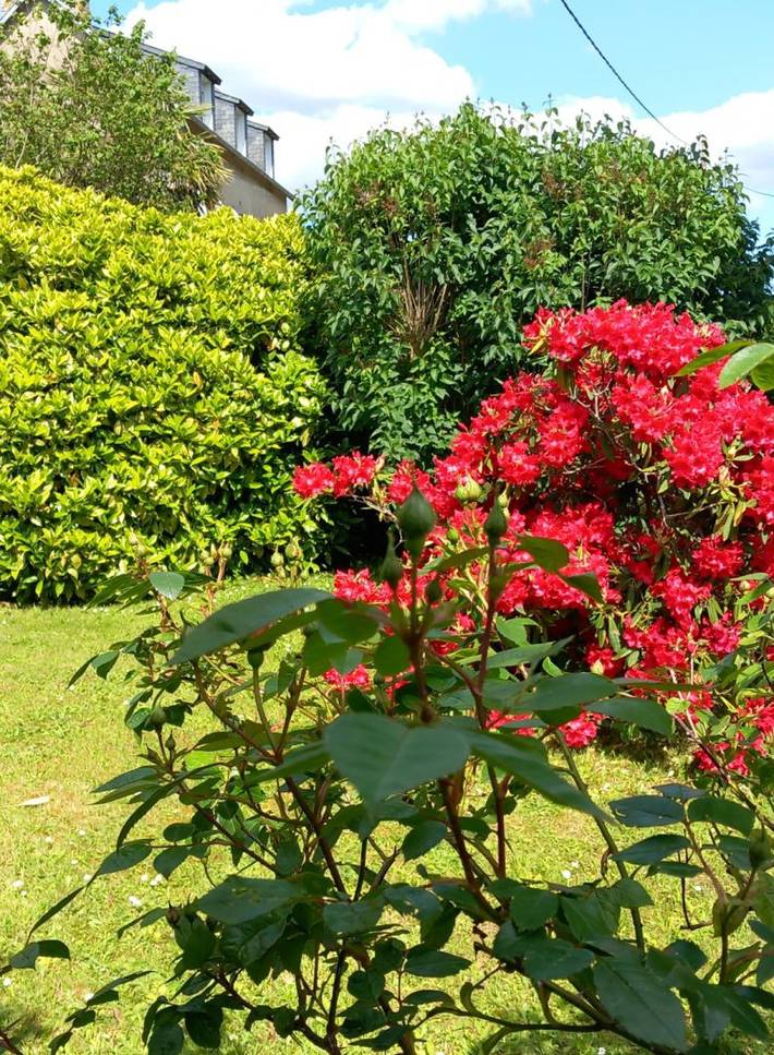 Location de vacances pour 2 personnes, avec jardin à La Forêt-Fouesnant - 3