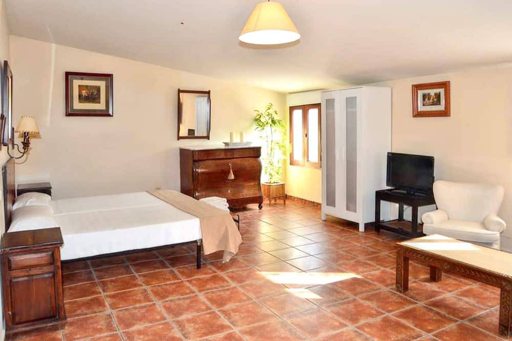 Homerez - Villa - Campo de Cuéllar in Campo de Cuéllar, Cuéllar 