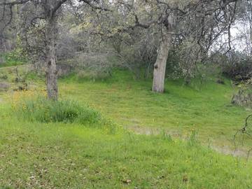 Camping for 10 Guests in Kings Canyon National Park, Fresno County, Picture 4