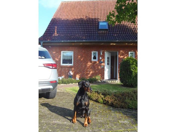 Ferienhaus für 5 Personen, mit Terrasse und Garten in Wietzendorf - 3