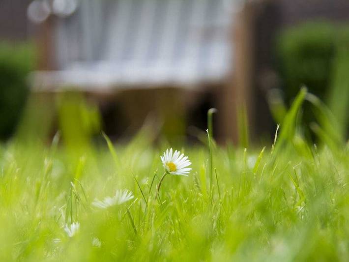 Ferienhaus für 8 Personen, mit Garten und Terrasse auf Borkum - 4