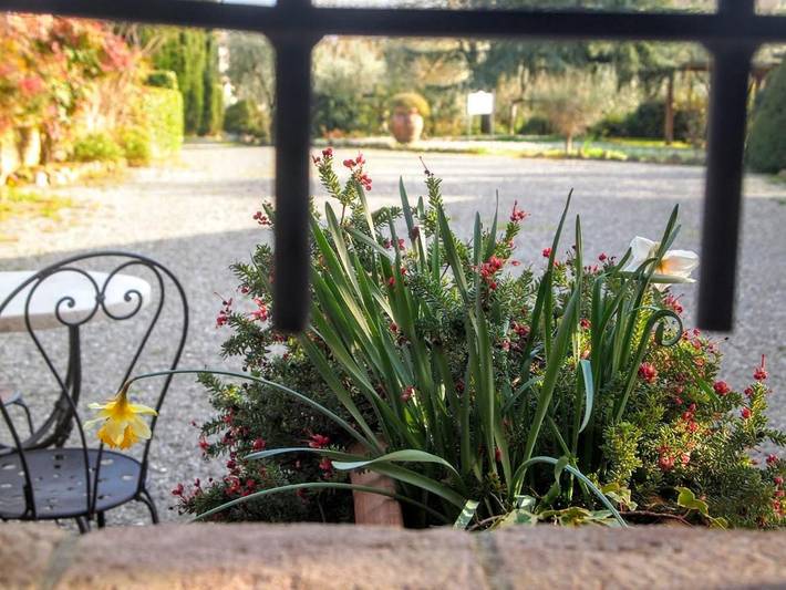 Landhaus für 2 Personen, mit Ausblick und Garten sowie Pool, mit Haustier in der Toskana - 4
