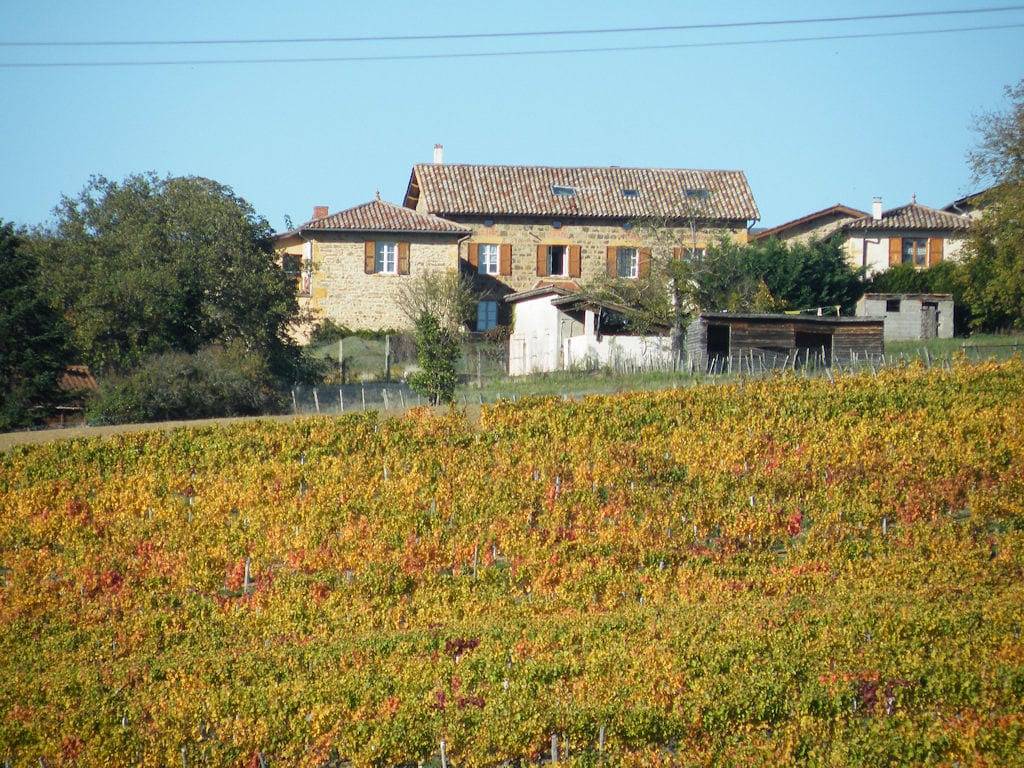 Chambres d'hôtes des 17 Clochers - Chambre bleu in Beaujolais