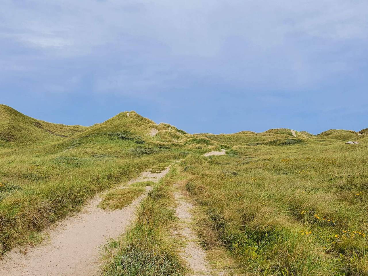 12 Personen Ferienhaus in Ulfborg in Vester Husby, Husby (Dänemark)