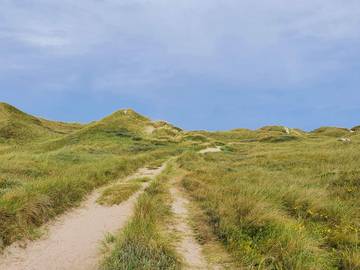Ferieudlejning til 12 Personer i Vester Husby, Ulfborg, Billede 4