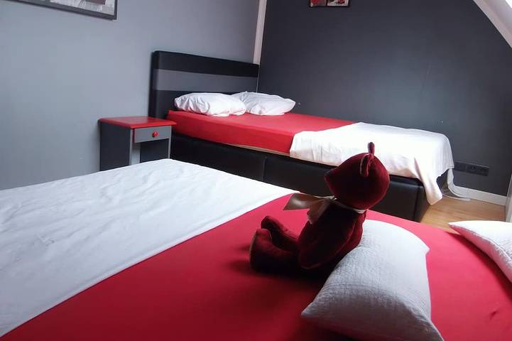 Location de vacances pour 15 personnes, avec terrasse, animaux acceptés dans Segré-en-Anjou-Bleu - 2