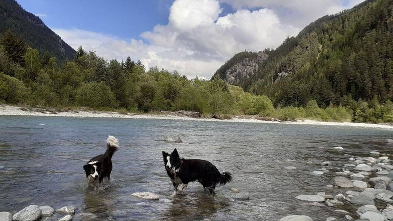 Ganze Ferienwohnung, Ferienwohnung für 2 Personen (45 m²) in Pfunds in Pfunds, Tiroler Oberland