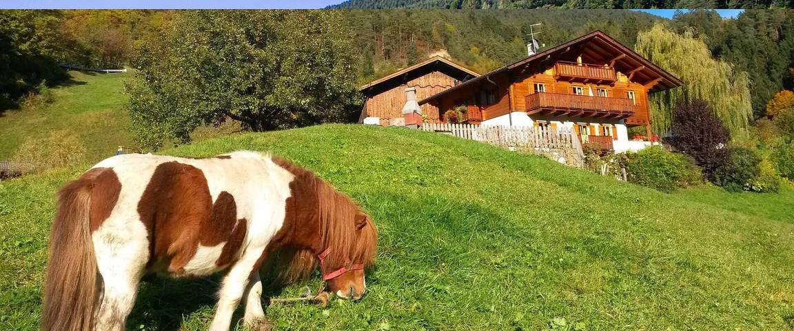 Hel lejlighed, Apartment "Platschgolerhof Bergluft" with Balcony and Wi-Fi in Tiers, Dolomiti Superski