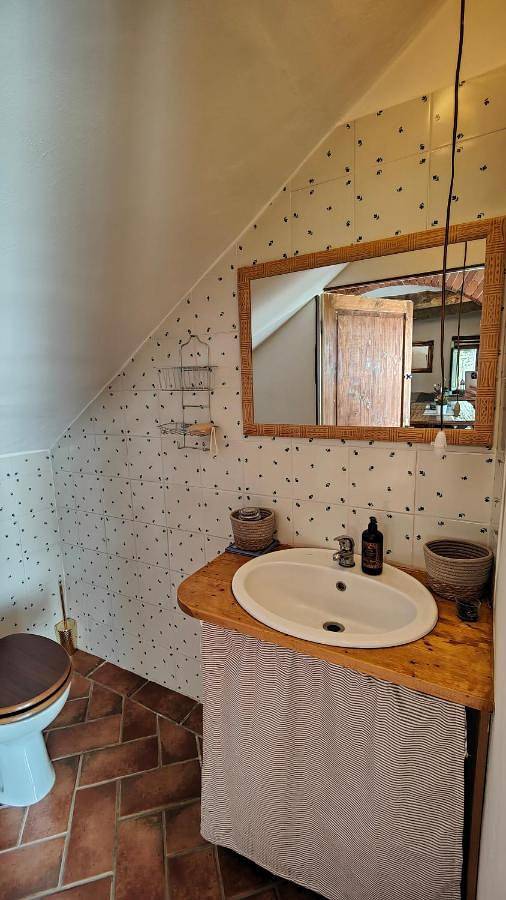 Location de vacances pour 4 personnes, avec terrasse et vue, animaux acceptés à Tuoro sul Trasimeno - 4