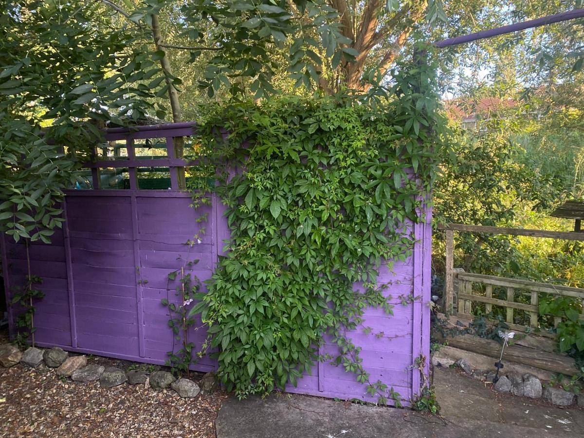 Avalon Retreat Cabin in Glastonbury, Somerset